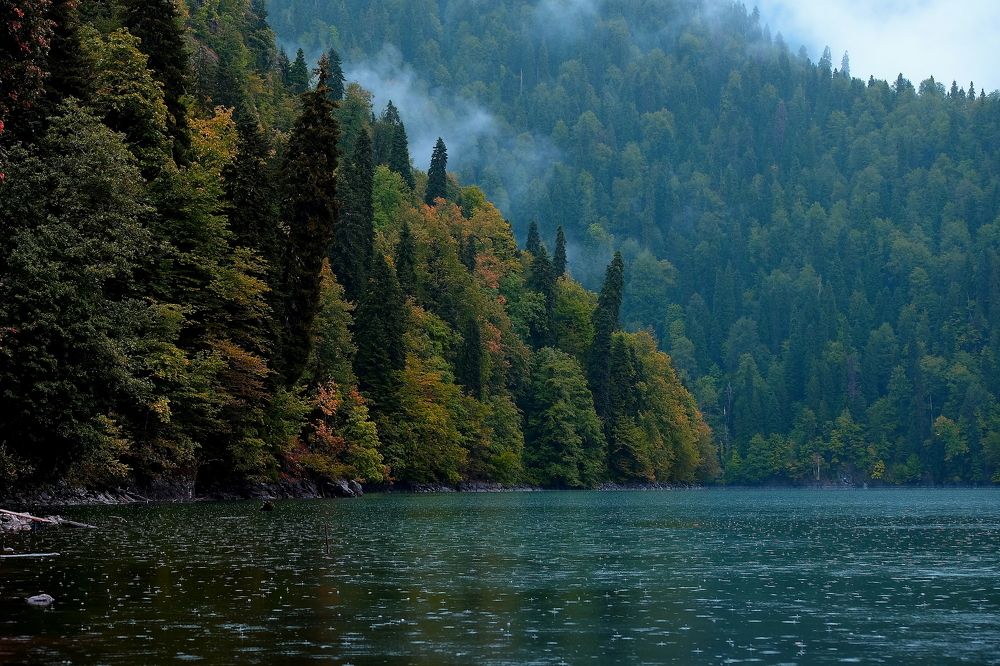 Дождливый сентябрь