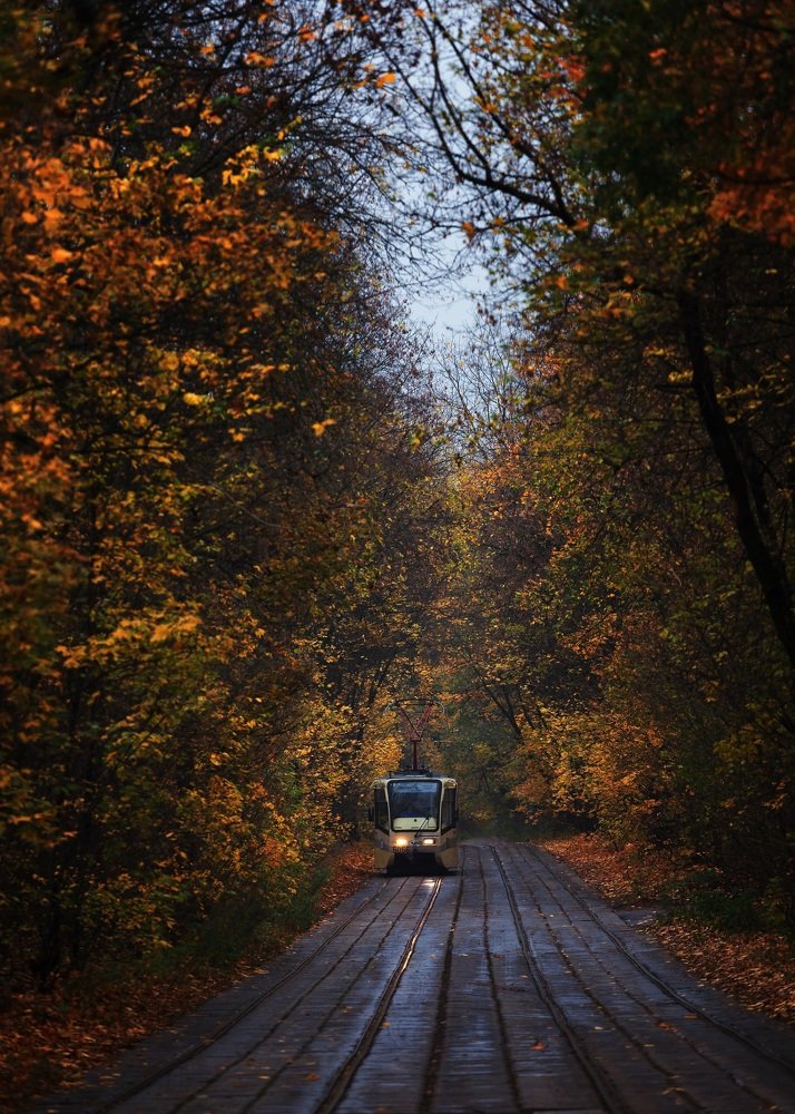 Осенний трамвайчик...