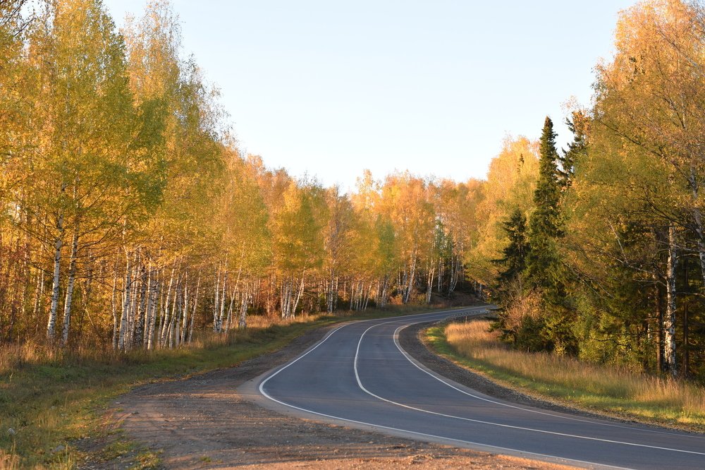 осенняя дорога