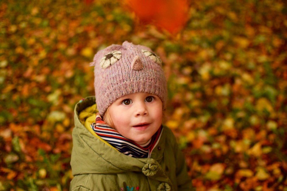 Первые листья