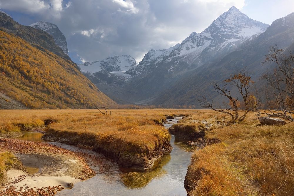 Осенний день