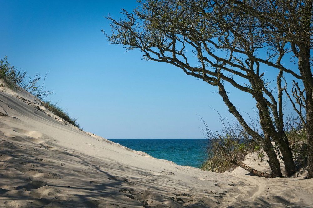 Подглядывая за морем