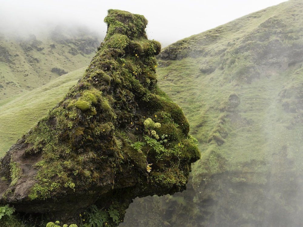 причуда природы