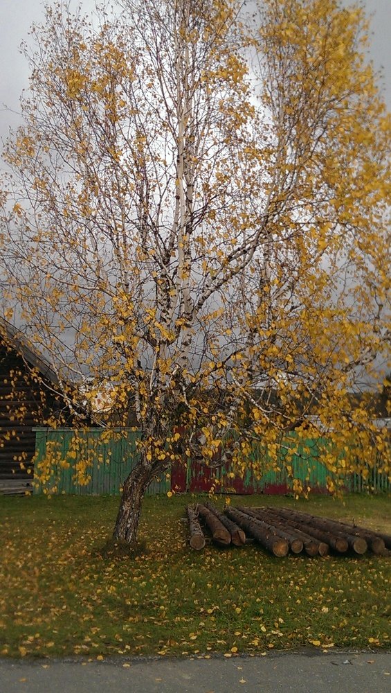 Красота осени