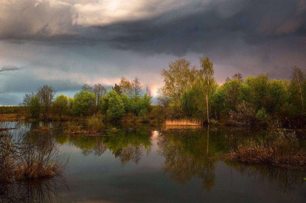 После дождя