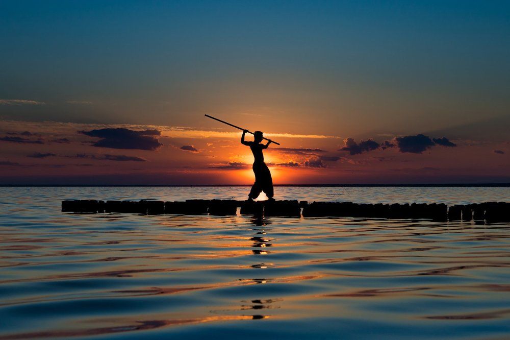 Harmony in the fight