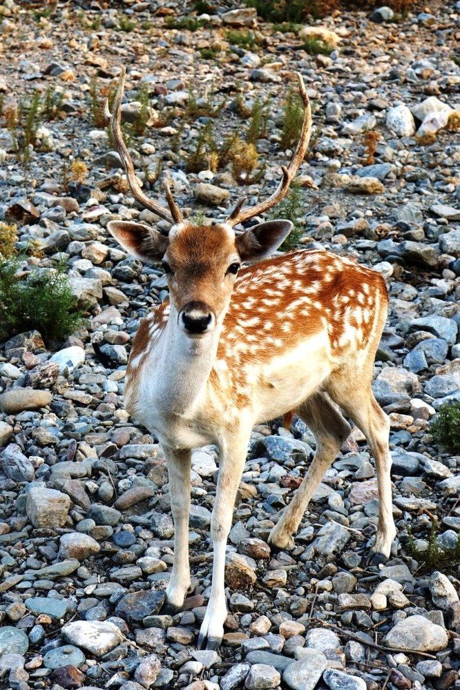 Моменты семейной жизни