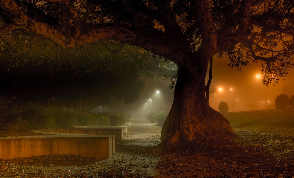 Горели в парке фонари