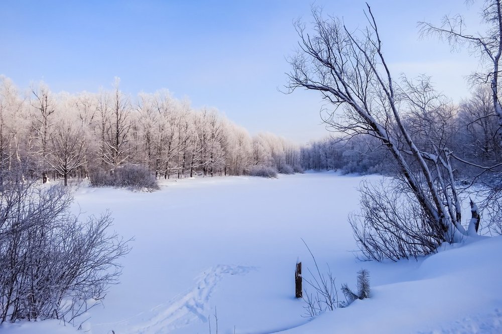 Морозное утро