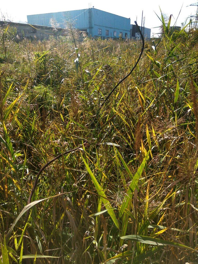 Природа края 002