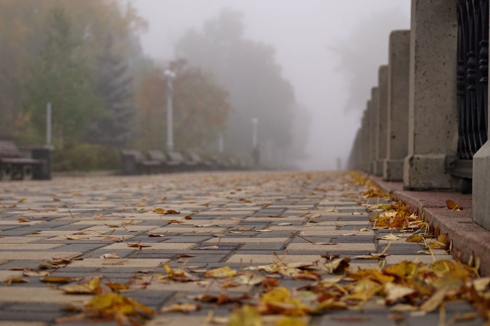 Утро октября