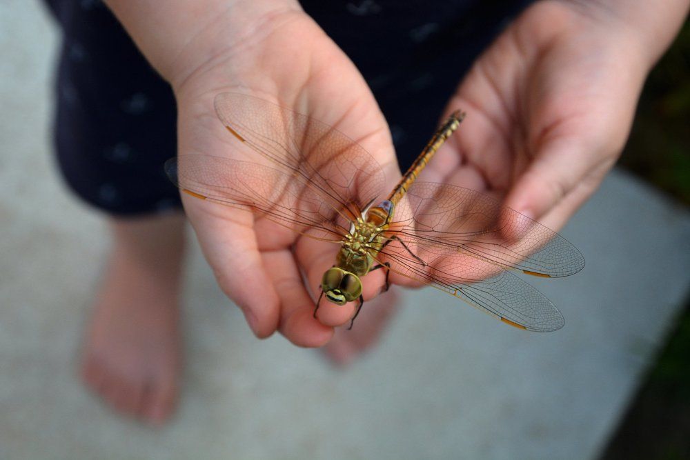 Ручной вертолётик.