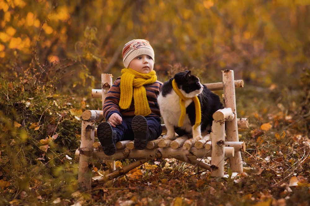 Мой друг Кот