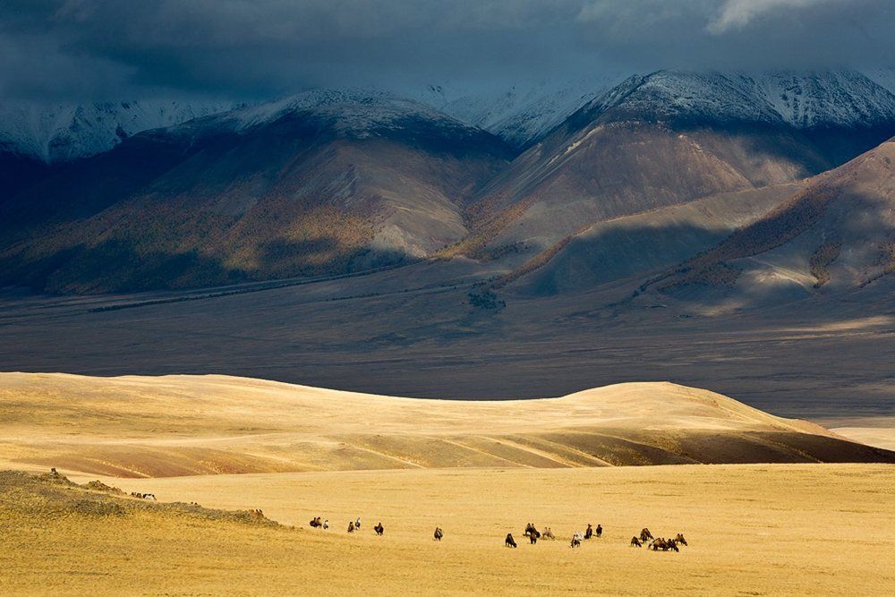 Вечер в горах Алтая.