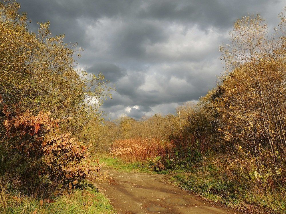 Сахалинская осень