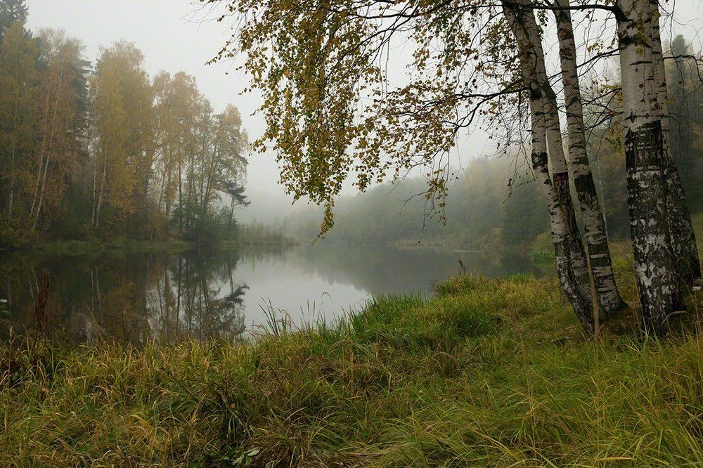 " Осенний этюд "