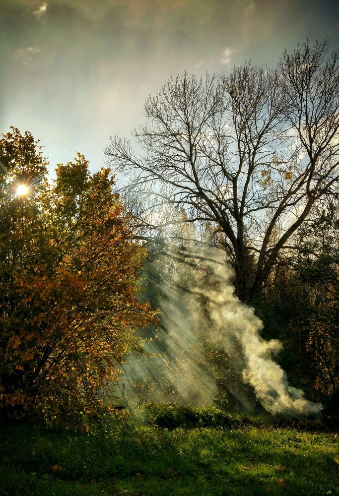 Луч солнца золотого...