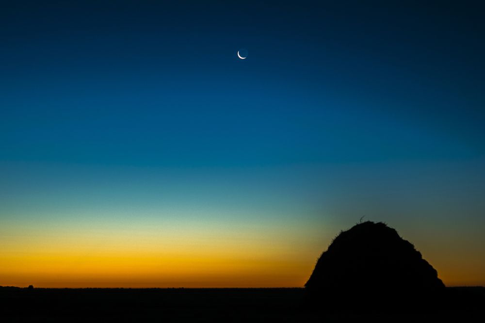 И ничего лишнего