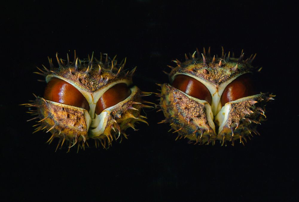 За вами следят.