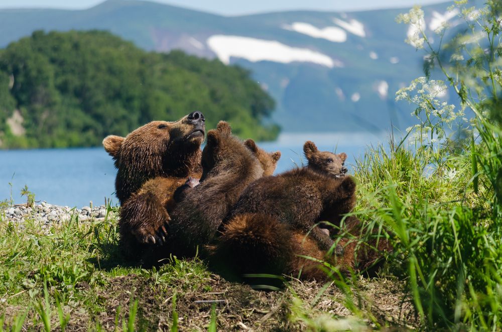 Этому дала, этому дала...
