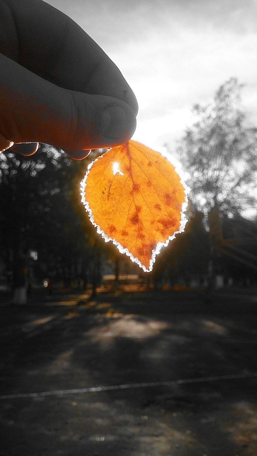 Осень