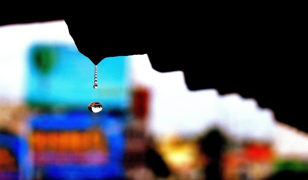 dew drop
