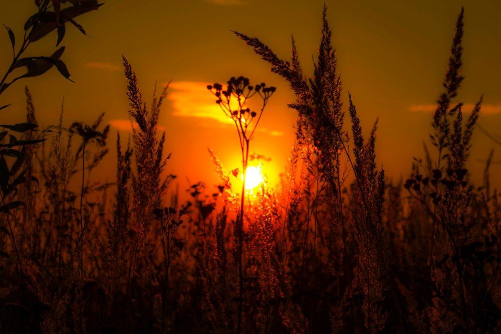 Photograph by Паша