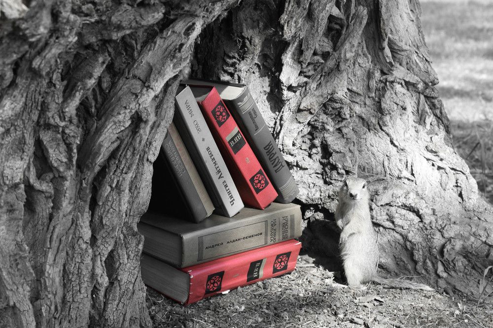 Владеешь информацией-владеешь Миром