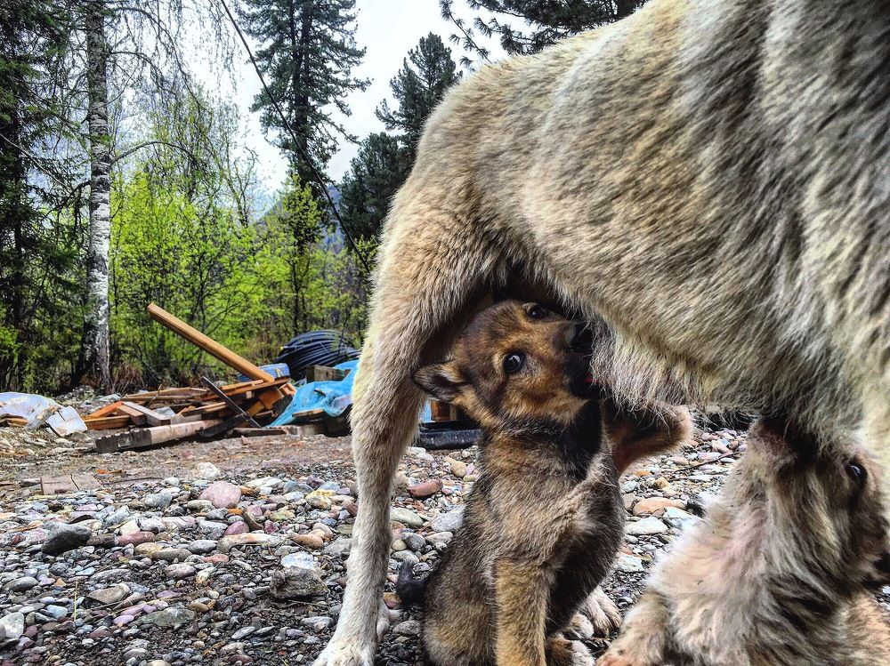 Этот неловкий момент.