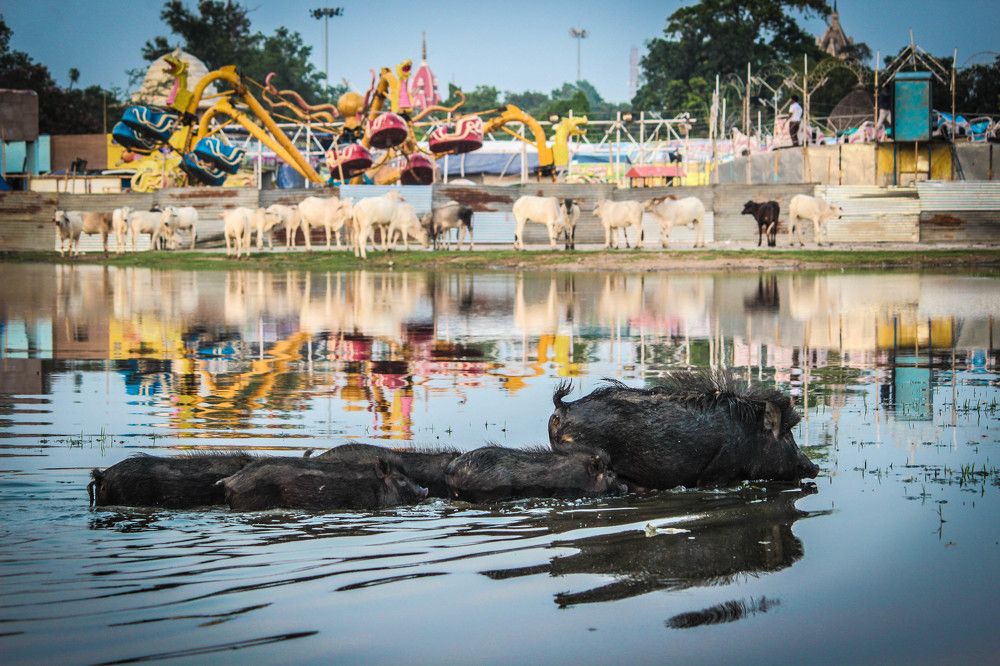 Life of Mud and Mother
