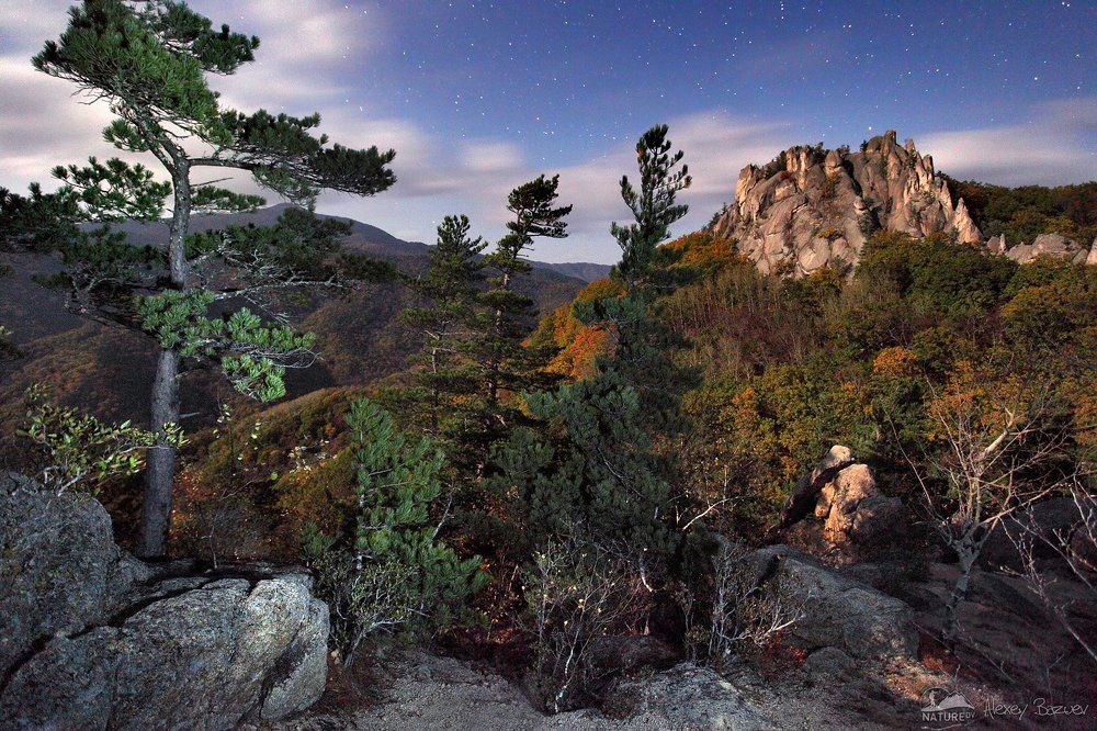 Крадущийся тигр, затаившийся дракон