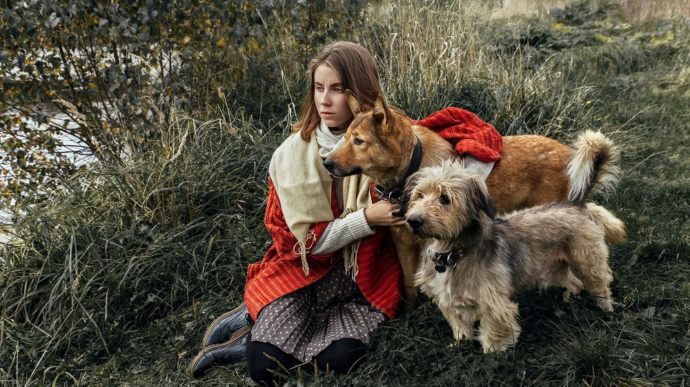 Четрые ноги, лапы и хвост