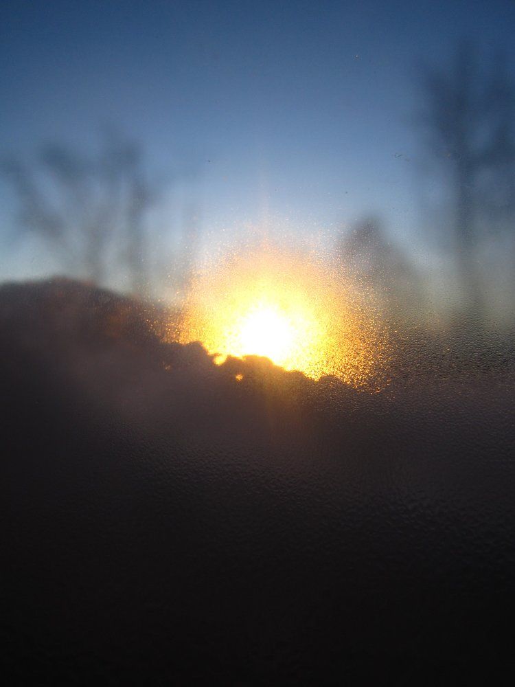 Photo #1469074