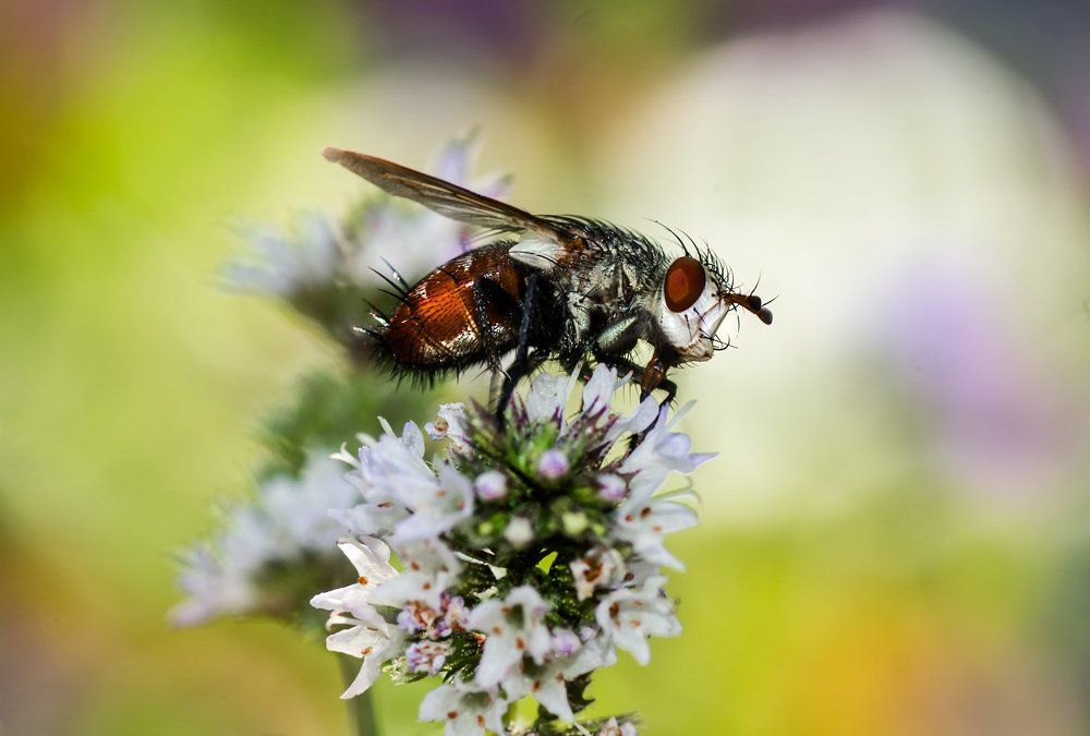 Photograph by Тараненко Анжелика