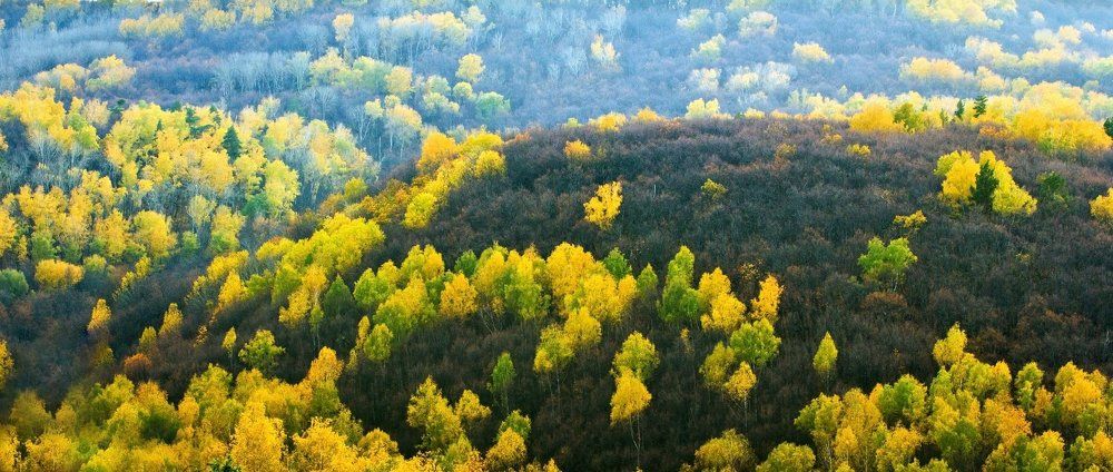 Девятый вал