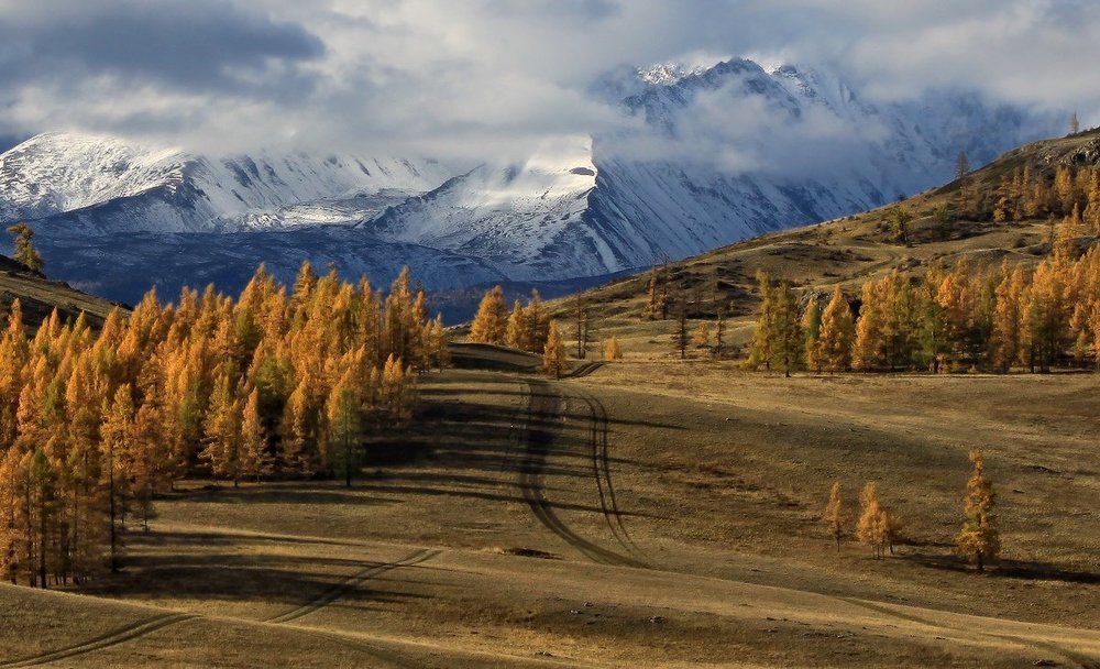 Мимо осени в горы...
