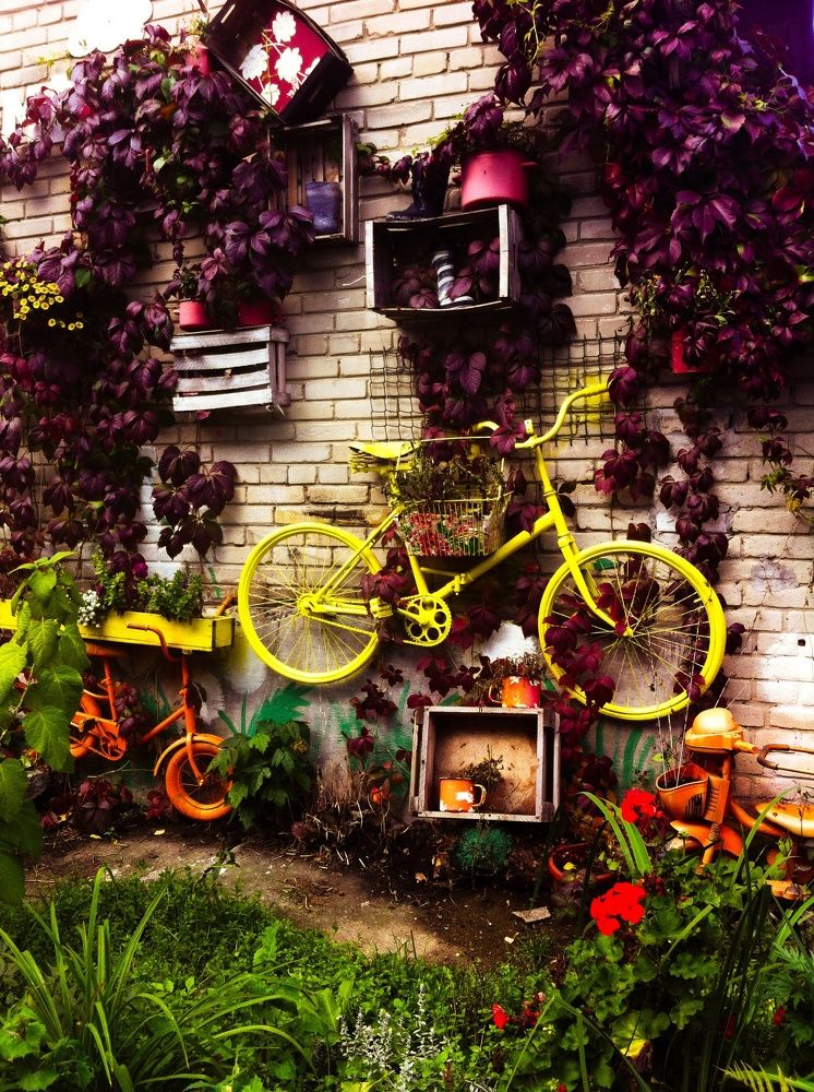 Любимый двор