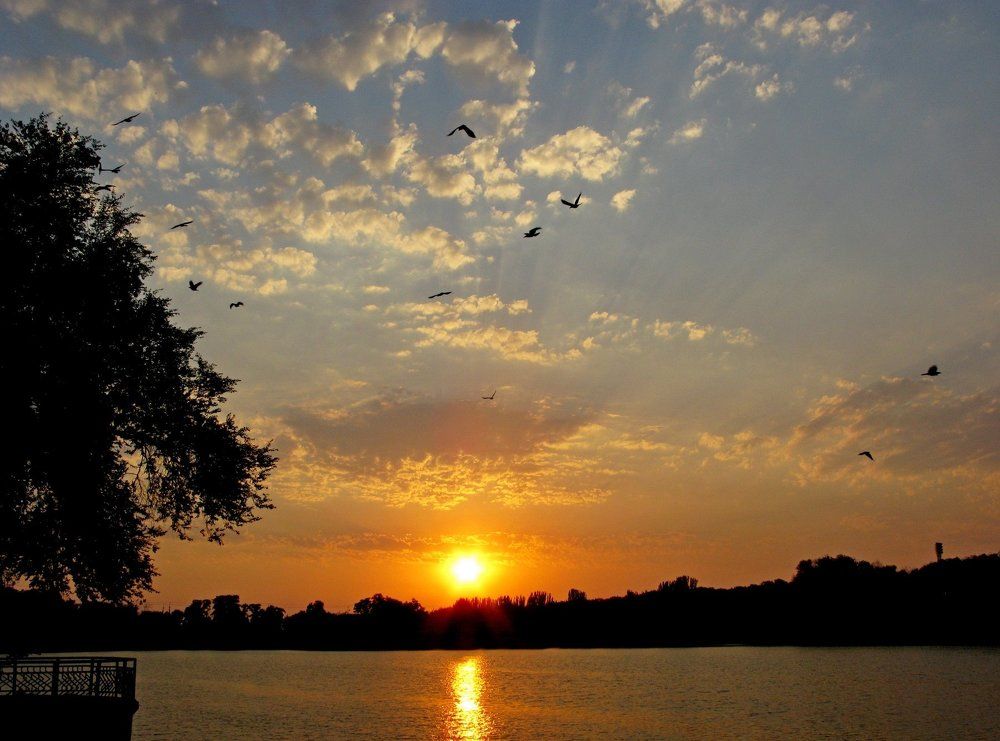 Photo #1469549