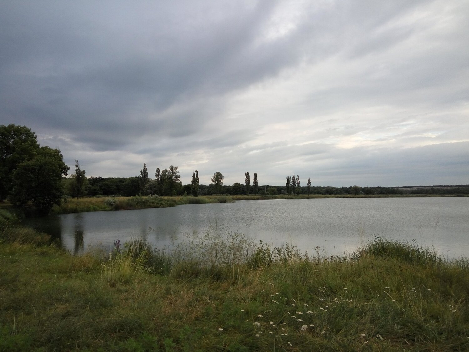 лесок