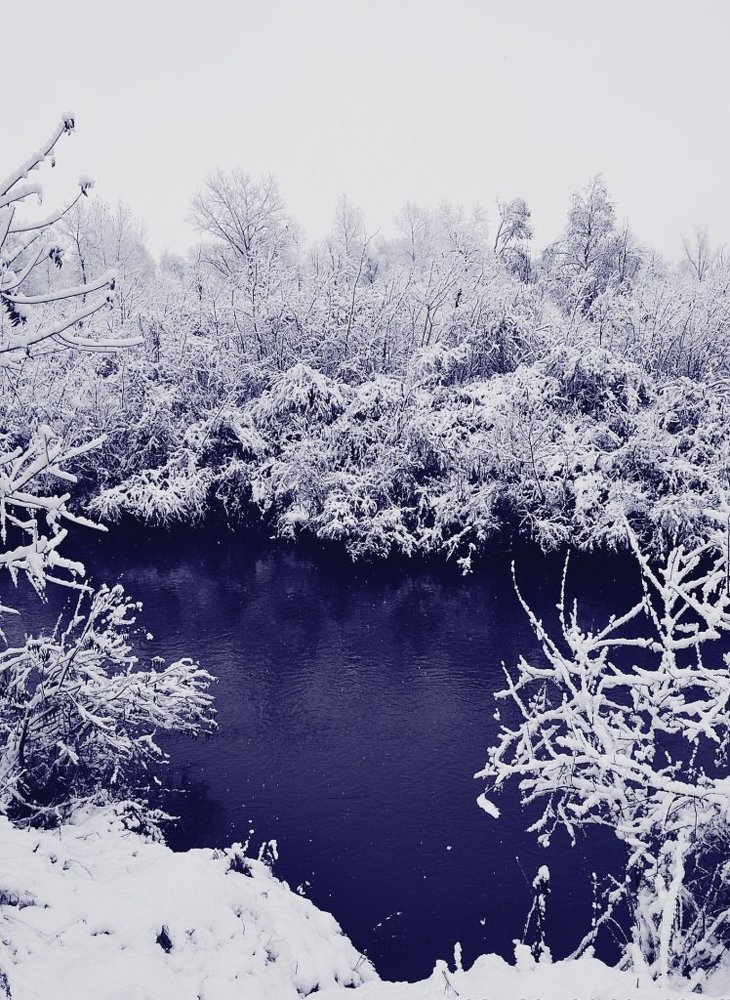 первый снег