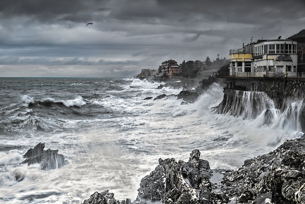 Морские эмоции