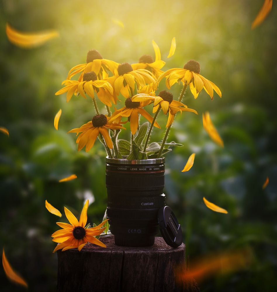 на закате дня...