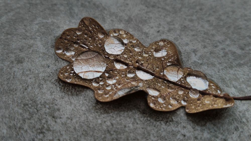 Photograph by Штогрин Антон