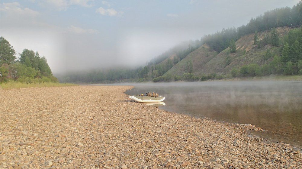 Photo #1470785