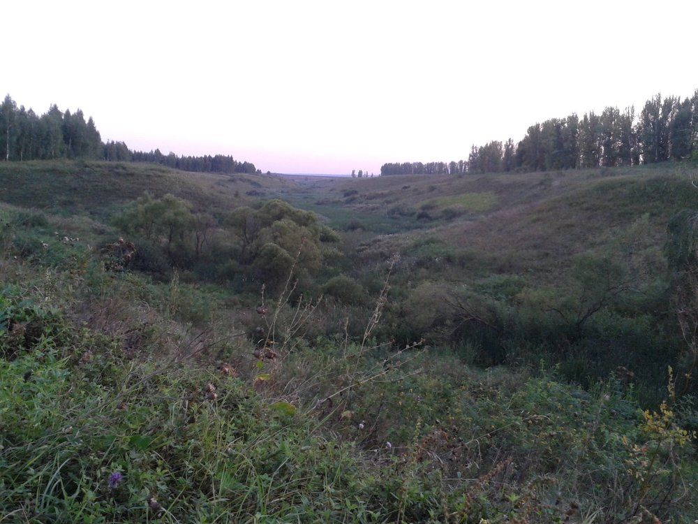 Photo #1471046