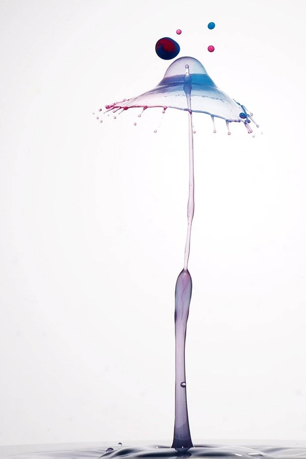 splash colors