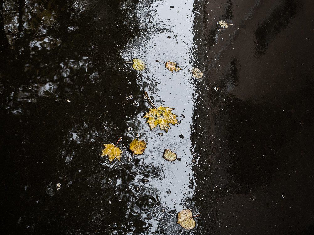 Autumn mood