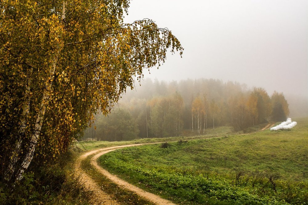 Туманный день