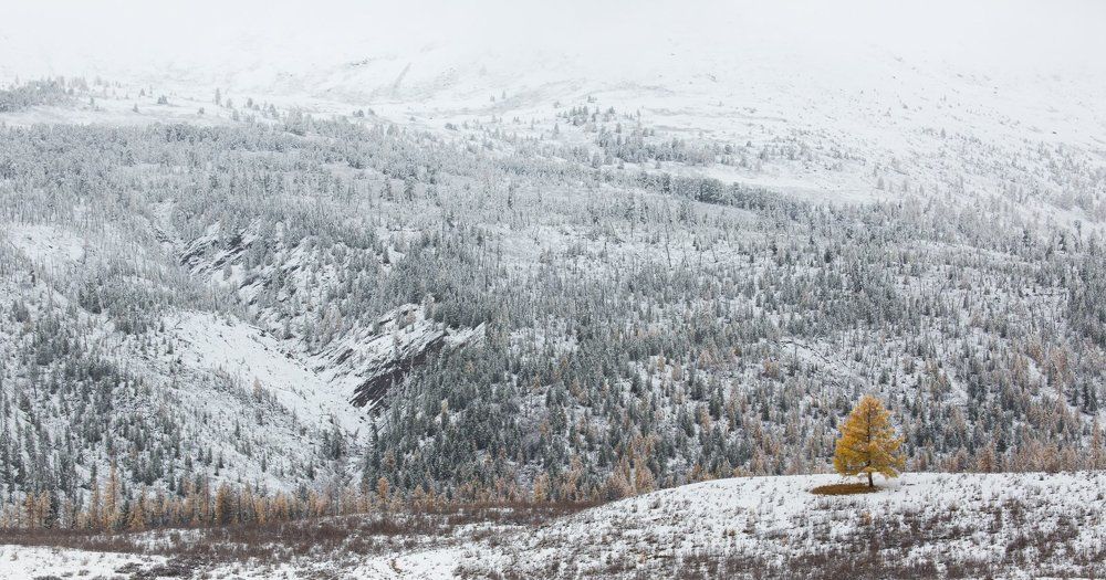 - А я против !