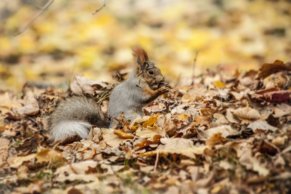 Photograph by Михайлов Семен
